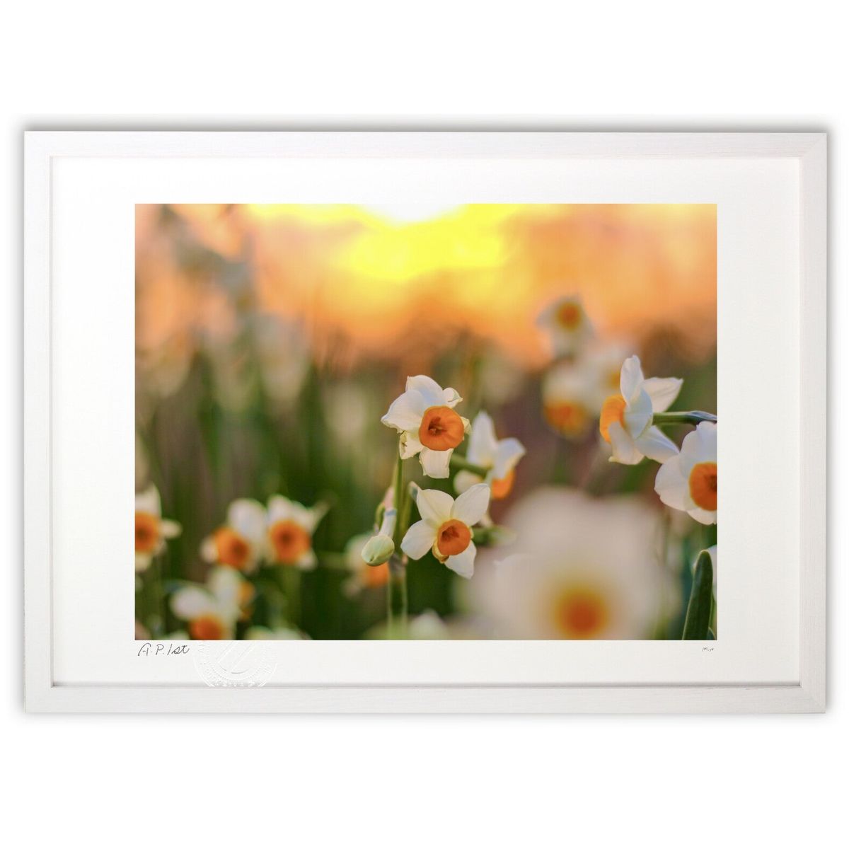 【スーパーSALE半額】版画 小さな強さ (m_y8(Mami))インテリア 壁掛け 額入り 風景画 ポスター アート リビング 玄関に飾る 風水 プレゼント ...