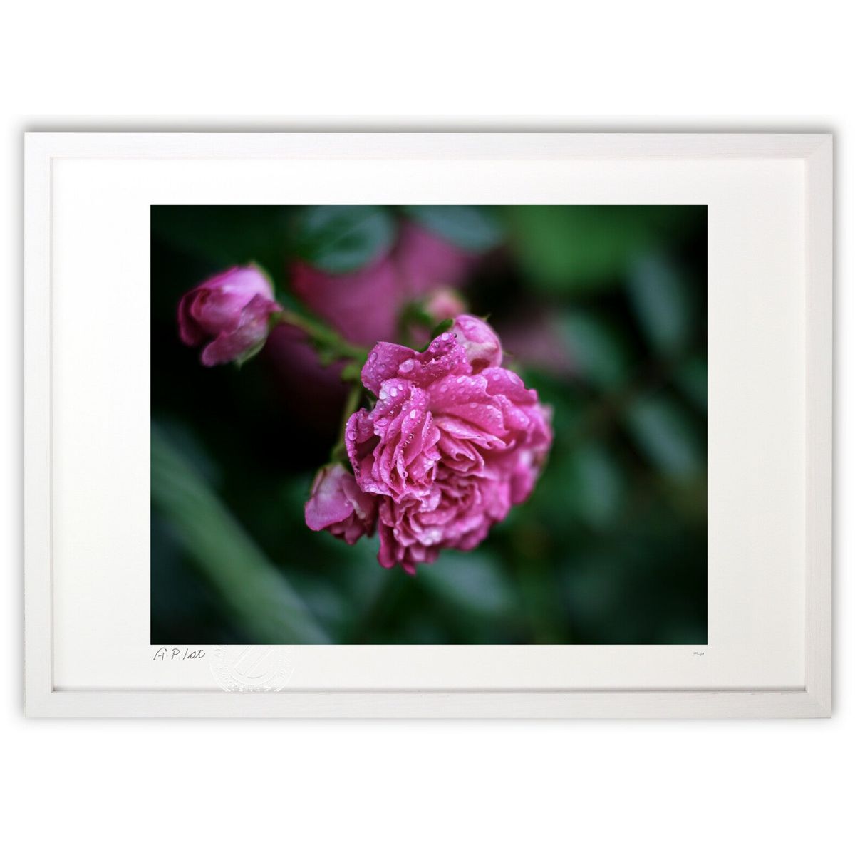 ڥѡSALEȾۡǲ 夬 (m_y8Mami)ƥꥢ ɳݤ  ʲ ݥ  ӥ ؤ˾  ץ쥼...