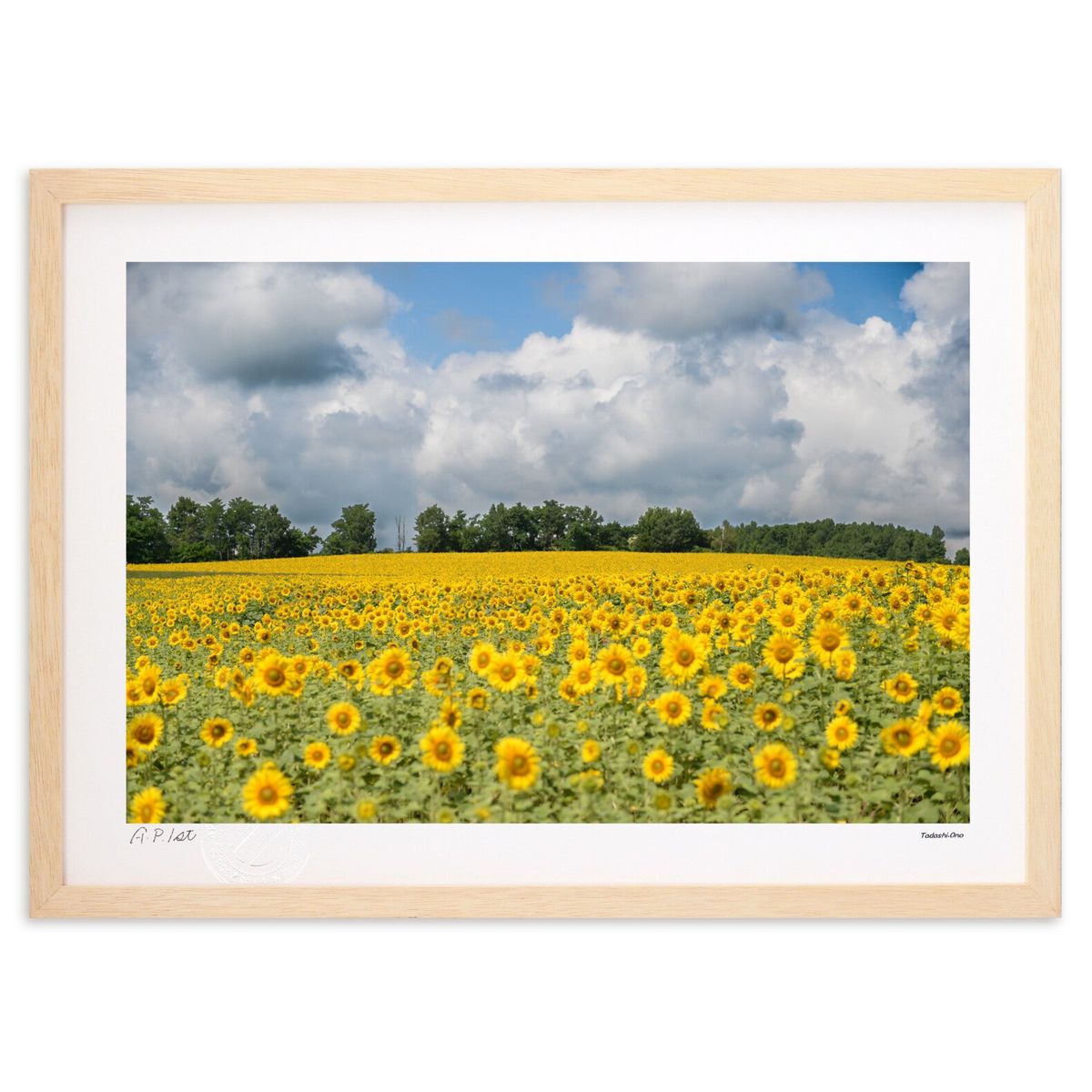 ڥѡSALEȾۡǲ ҥޥ꤬ ( )ƥꥢ ɳݤ  ʲ ݥ  ӥ ؤ˾  ץ쥼  ...