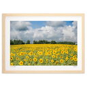 【スーパーSALE半額】版画 ヒマワリが一杯 (小野 忠)インテリア 壁掛け 額入り 風景画 ポスター アート リビング 玄関に飾る 風水 プレゼント モダン ...