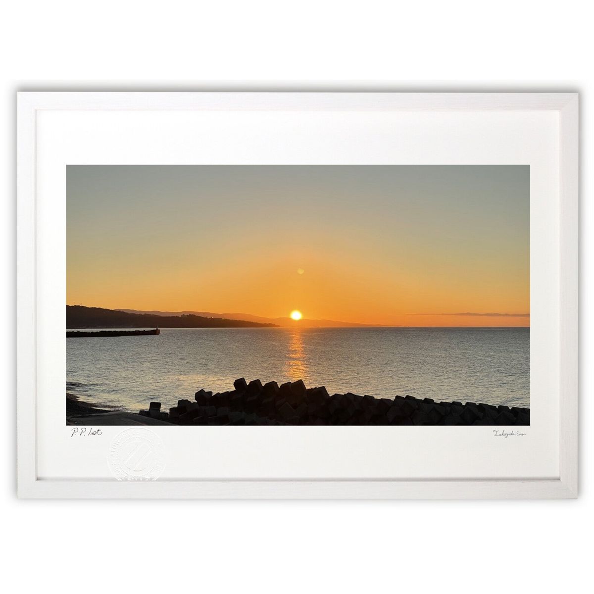 ڥѡSALEȾۡǲ  (ӥ꡼)ƥꥢ ɳݤ  ʲ ݥ  ӥ ؤ˾  ץ쥼  ȥե졼...