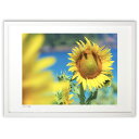 【スーパーSALE半額】版画 夏空のひまわり (m_y8(Mami))インテリア 壁掛け 額入り 風景画 ポスター アート リビング 玄関に飾る 風水 プレゼン...