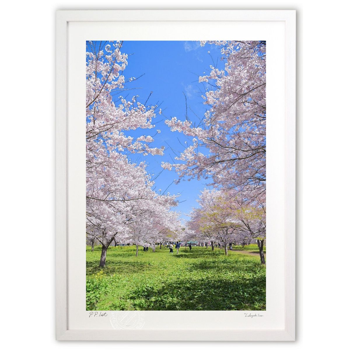 ڥѡSALEȾۡǲ פ (mitan)ƥꥢ ɳݤ  ʲ ݥ  ӥ ؤ˾  ץ쥼  ...