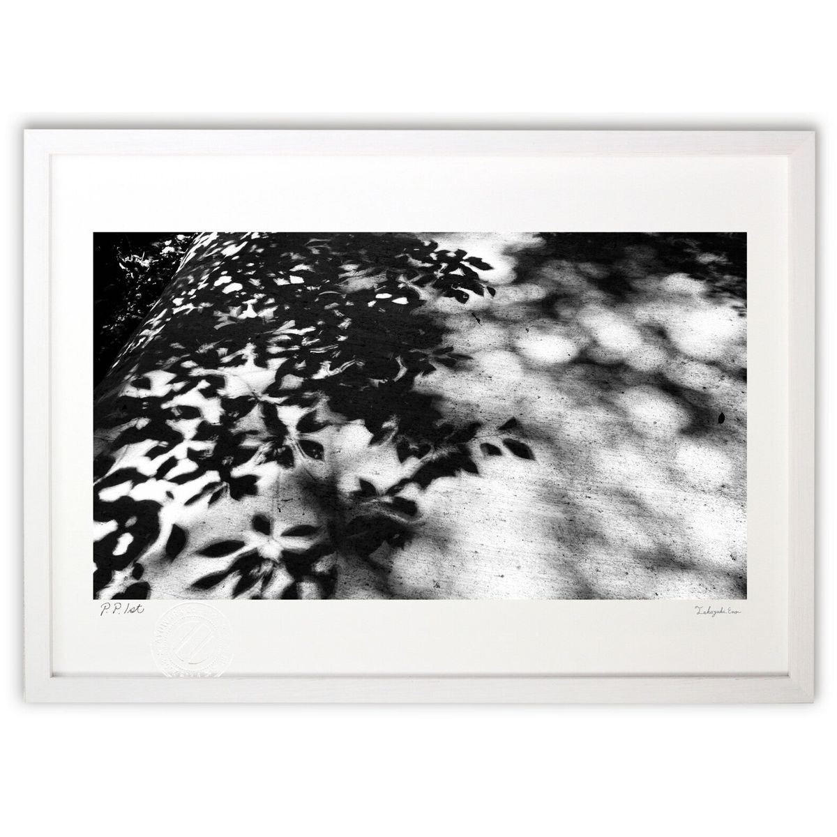 ڥѡSALEȾۡǲ ڱ (ӥ꡼)ƥꥢ ɳݤ  ʲ ݥ  ӥ ؤ˾  ץ쥼  ȥե졼...