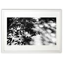 【スーパーSALE半額】版画 木陰 (ビリー)インテリア 壁掛け 額入り 風景画 ポスター アート リビング 玄関に飾る 風水 プレゼント モダン アートフレー...