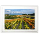 【スーパーSALE半額】版画 四季彩の丘 (小野 忠)インテリア 壁掛け 額入り 風景画 ポスター アート リビング 玄関に飾る 風水 プレゼント モダン アー...