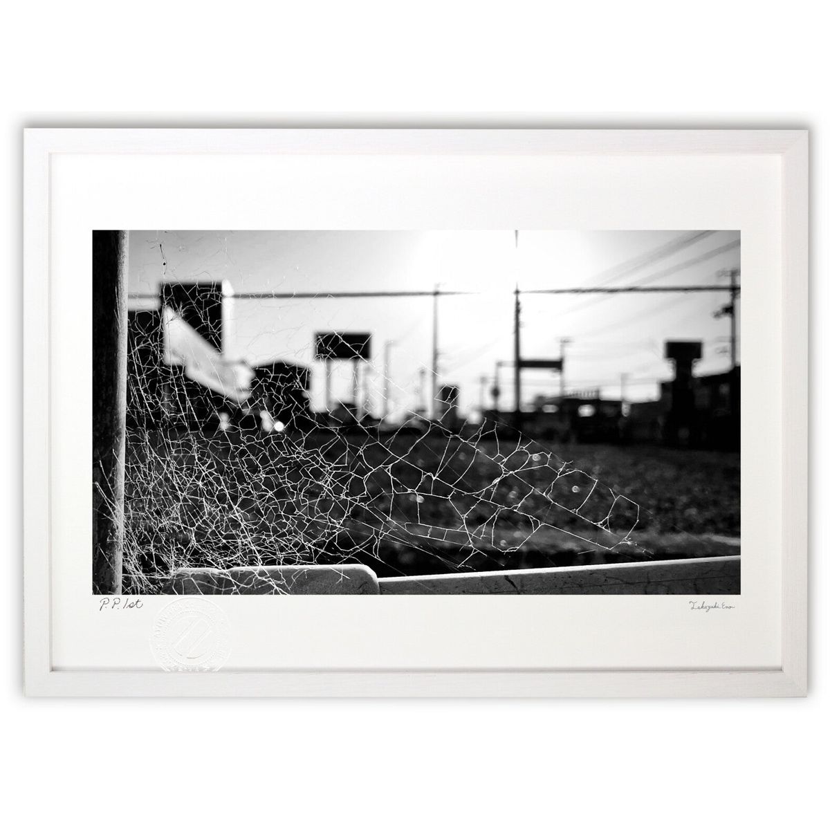 ڥѡSALEȾۡǲ ͥå (ӥ꡼)ƥꥢ ɳݤ  ʲ ݥ  ӥ ؤ˾  ץ쥼  ȥե...