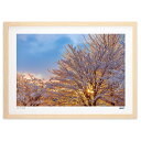 【抽選ポイント100%バック】版画 雪の花 1 (eishowmutoh)インテリア 壁掛け 額入り 風景画 ポスター アート リビング 玄関に飾る 風水 プレ...