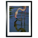 【抽選ポイント100%バック】版画 flamingo (t_ibara)インテリア 壁掛け 額入り 風景画 ポスター アート リビング 玄関に飾る 風水 プレゼ...