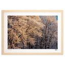 【抽選ポイント100%バック】版画 雪の花 2 (eishowmutoh)インテリア 壁掛け 額入り 風景画 ポスター アート リビング 玄関に飾る 風水 プレ...