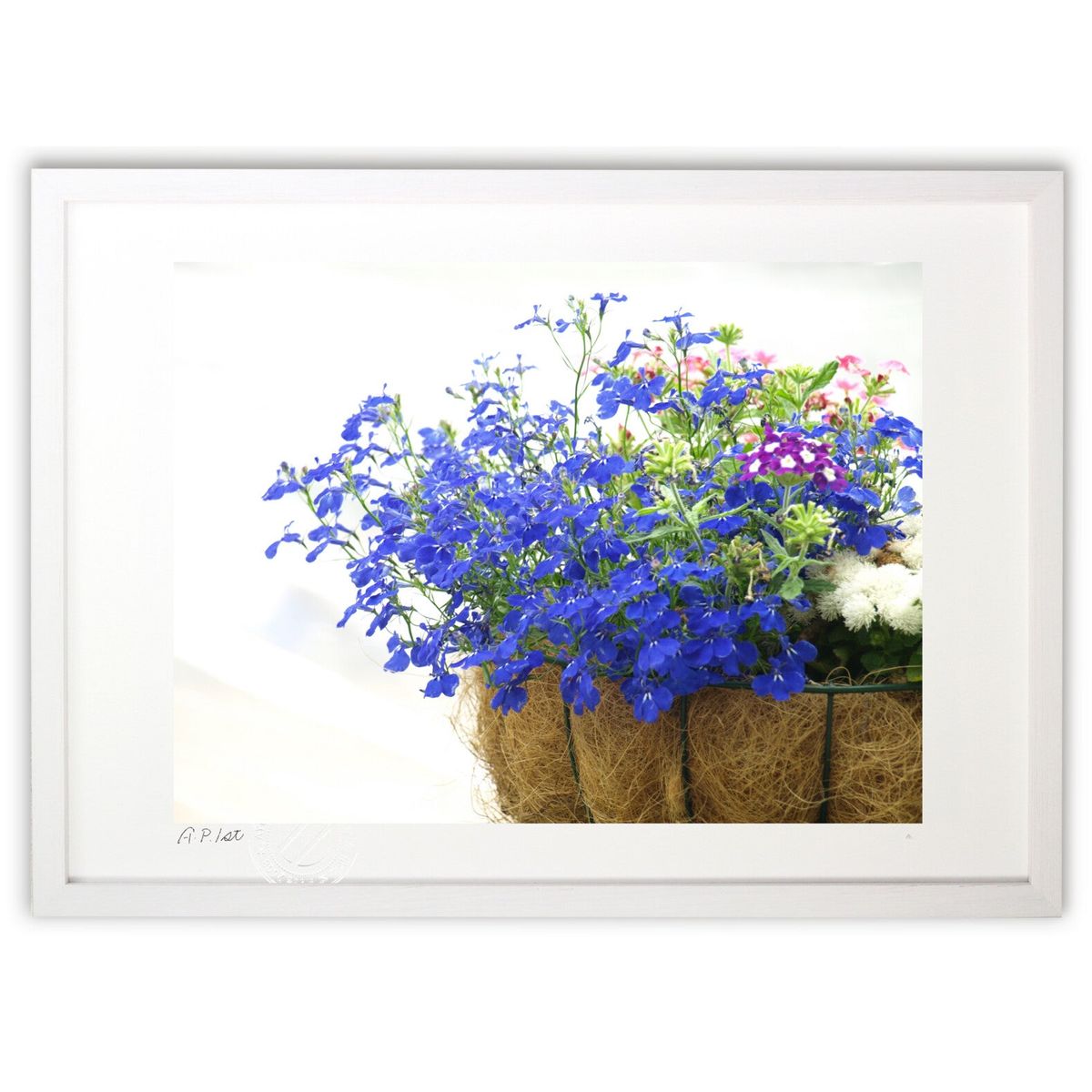 版画 やすらぎ、籠に咲く青の花 (凛 -Rin-)インテリア 壁掛け 額入り 風景画 ポスター アート リビング..