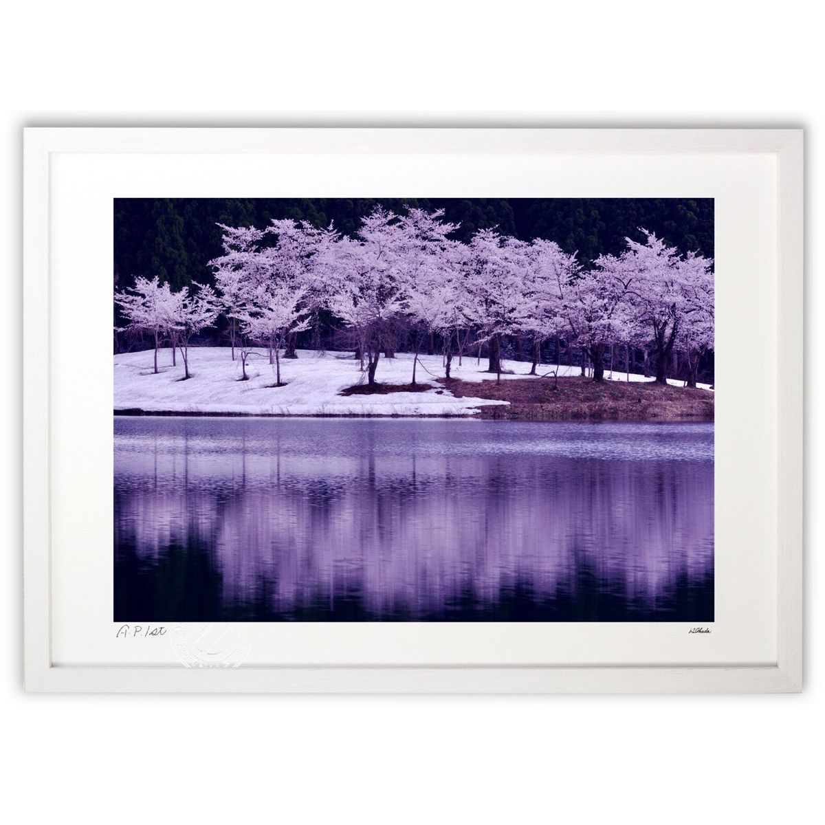 版画 中子の桜 (レモンポポ)インテリア 壁掛け 額入り 風景画 ポスター アート リビング 玄関に飾る 風水 プレゼント モダン アートフレーム