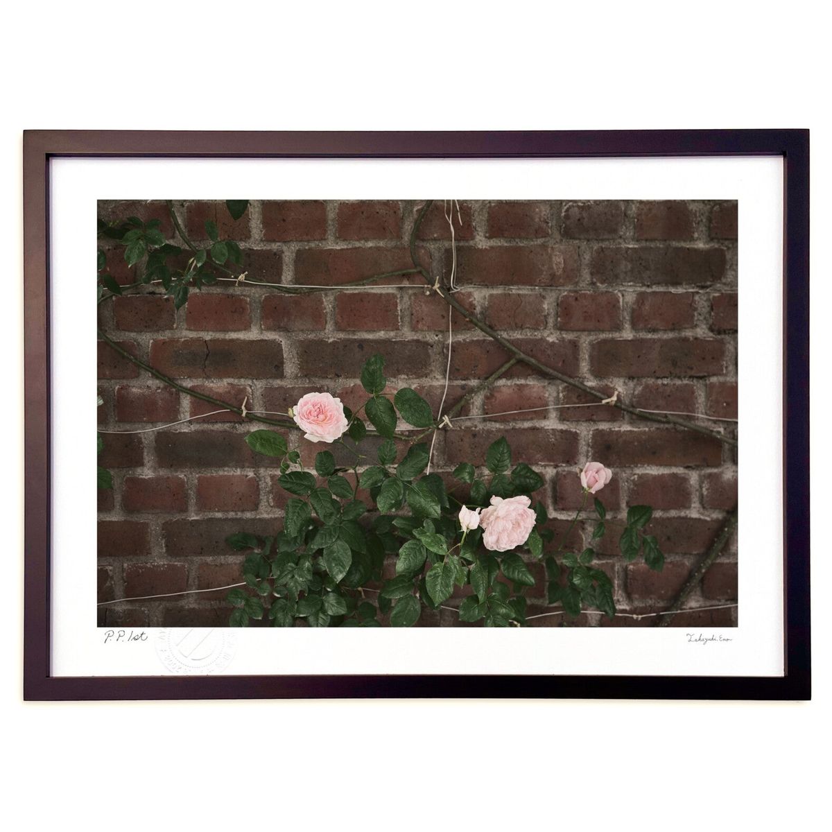 版画 赤煉瓦に寄り添う優しさ (ramble)インテリア 壁掛け 額入り 風景画 ポスター アート リビング 玄..