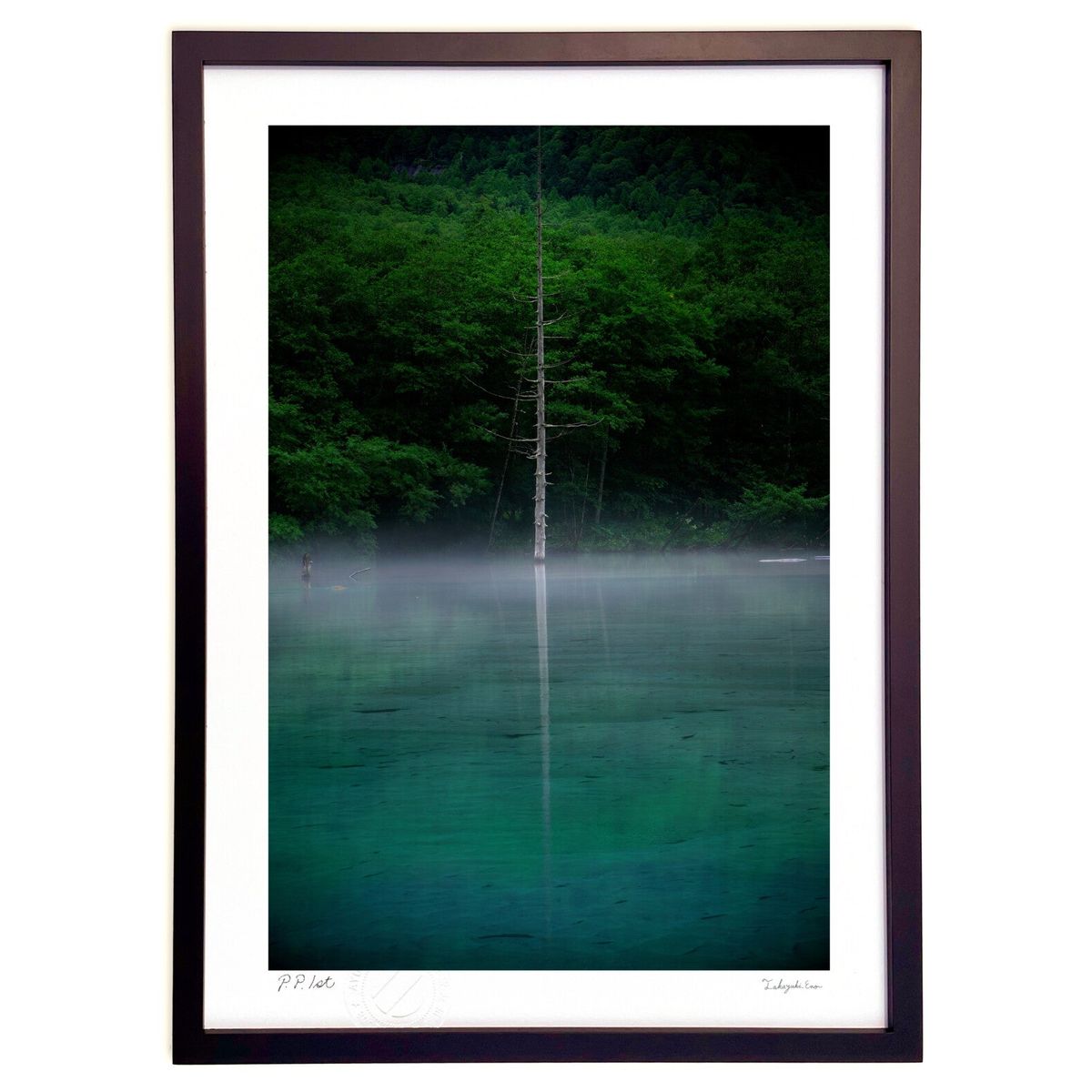 �ǲ� ���򸫤Ĥ����� (ramble)����ƥꥢ �ɳݤ� ������ ���ʲ� �ݥ����� ������ ��ӥ� ���ؤ˾��� ���� �ץ쥼��� ����� �����ȥե졼��