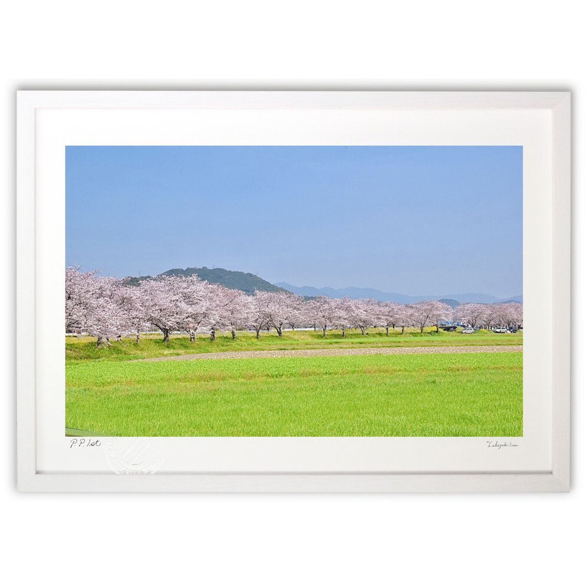 版画 さくら並木 (mitan)インテリア 壁掛け 額入り 風景画 ポスター アート リビング 玄関に飾る 風水 ..