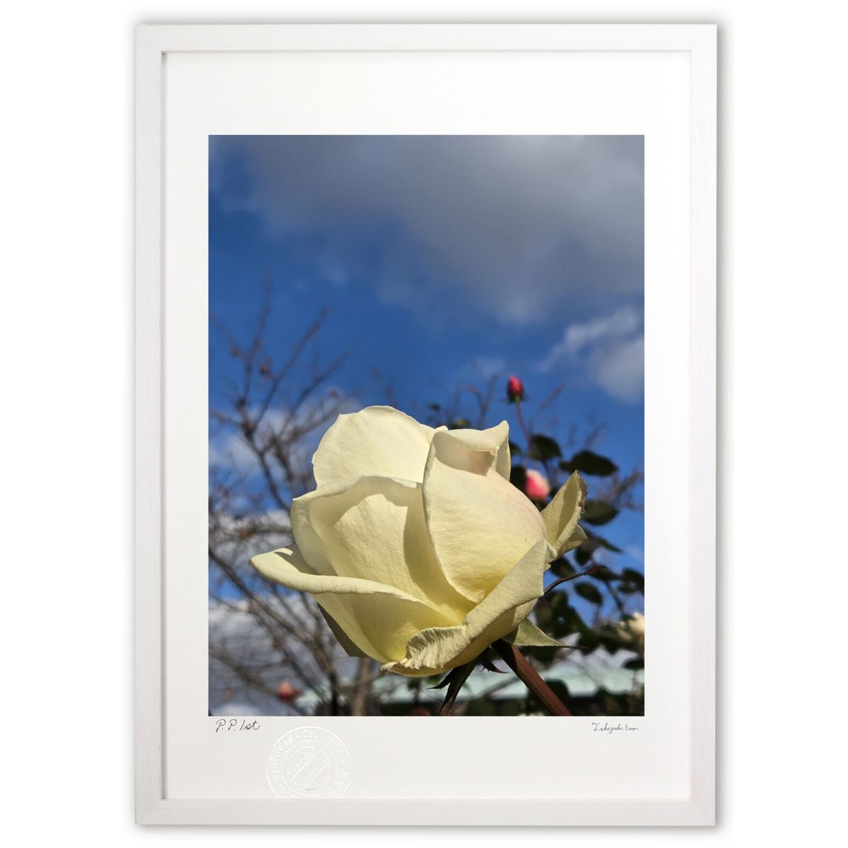 �ǲ� �� (�������ߤ��Ȥ�)����ƥꥢ �ɳݤ� ������ ���ʲ� �ݥ����� ������ ��ӥ� ���ؤ˾��� ���� �ץ쥼��� ����� �����ȥե졼��