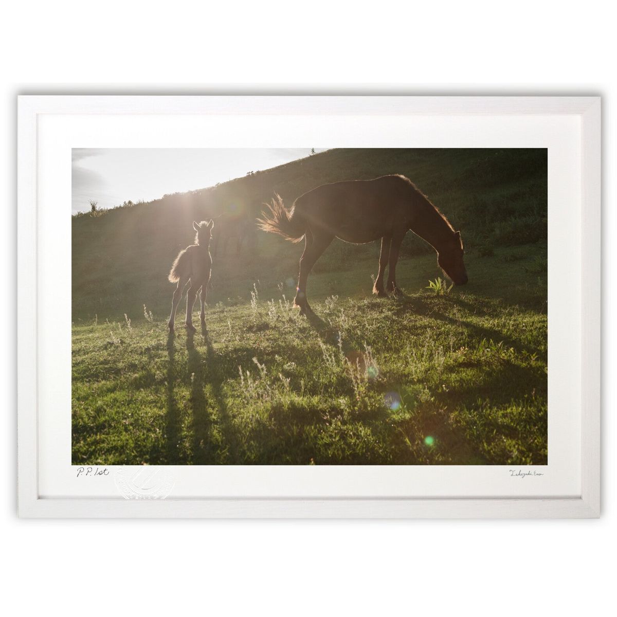 �ǲ� ī������Ӥ� (��������)����ƥꥢ �ɳݤ� ������ ���ʲ� �ݥ����� ������ ��ӥ� ���ؤ˾��� ���� �ץ쥼��� ����� �����ȥե졼��