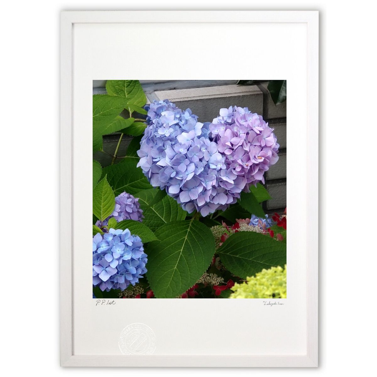 �ǲ� ���۲֥ϡ��� (�������ߤ��Ȥ�)����ƥꥢ �ɳݤ� ������ ���ʲ� �ݥ����� ������ ��ӥ� ���ؤ˾��� ���� �ץ쥼��� ����� �����ȥե졼��