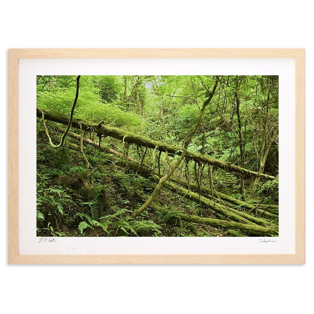 �ǲ� ���� (mitan)����ƥꥢ �ɳݤ� ������ ���ʲ� �ݥ����� ������ ��ӥ� ���ؤ˾��� ���� �ץ쥼��� ����� �����ȥե졼��