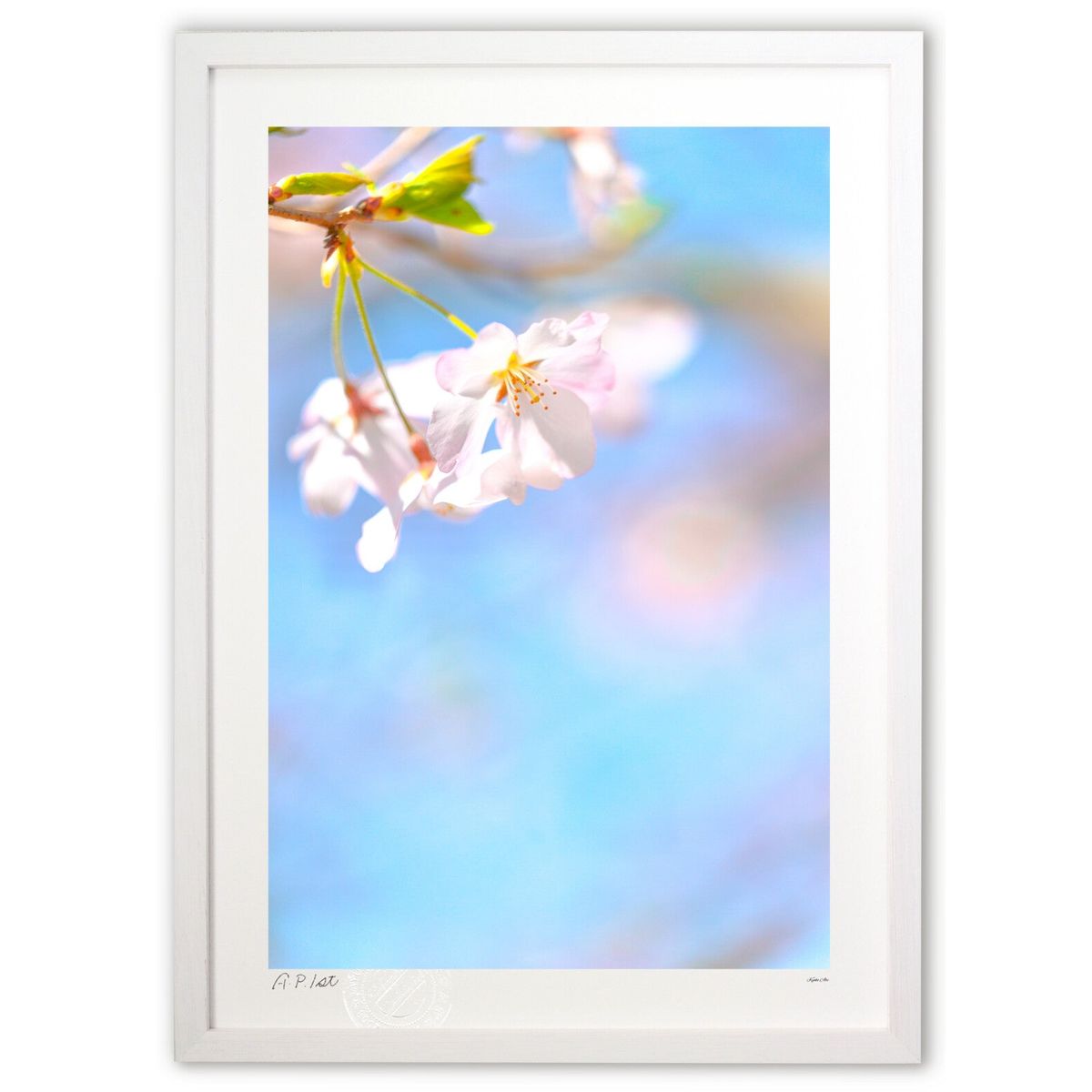 【スーパーSALE半額】版画 風水 縁結び運・美容運・子育て運UP！の桜【縦3】 (Kyoko.Abe)