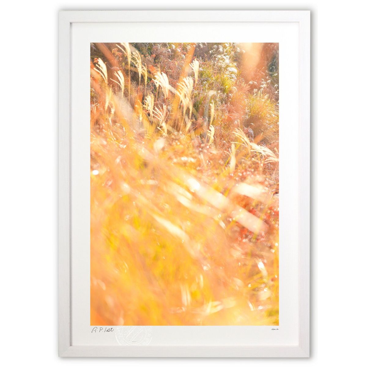 ǲ  ٵʧUPΥ (Kyoko.Abe)