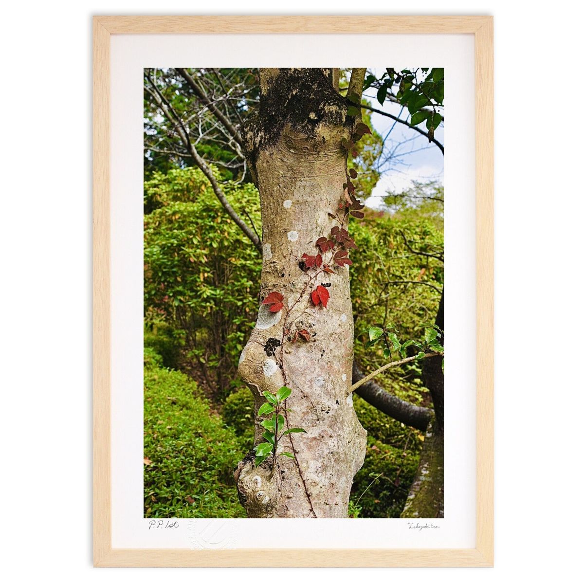 版画 アート (mitan)インテリア 壁掛け 額入り 風景画 ポスター アート リビング 玄関に飾る 風水 プレゼント モダン アートフレーム