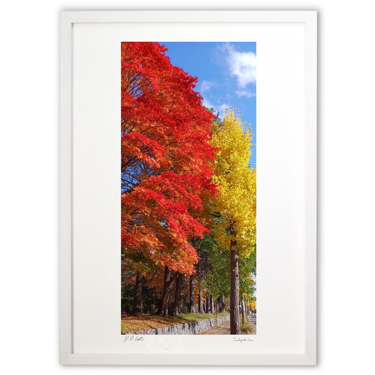 ǲ Ȥʿ (sayu)ƥꥢ ɳݤ  ʲ ݥ  ӥ ؤ˾  ץ쥼  ȥե졼