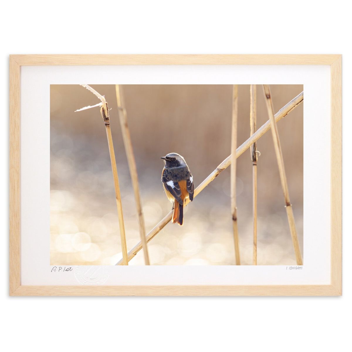 ǲ 祦ӥȤ᤭ (I.ISHIGAMI)