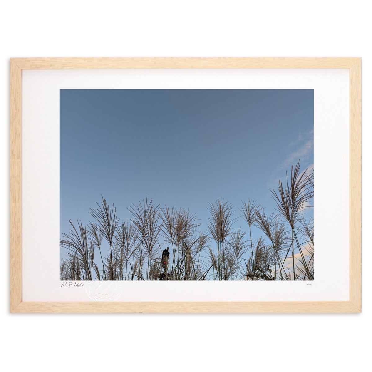 �ǲ� ͼ���Ȥ����� (okiron)����ƥꥢ �ɳݤ� ������ ���ʲ� �ݥ����� ������ ��ӥ� ���ؤ˾��� ���� �ץ쥼��� ����� �����ȥե졼��