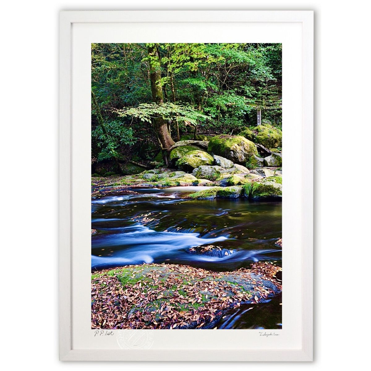 ǲ Ļ (mitan)ƥꥢ ɳݤ  ʲ ݥ  ӥ ؤ˾  ץ쥼  ȥե졼