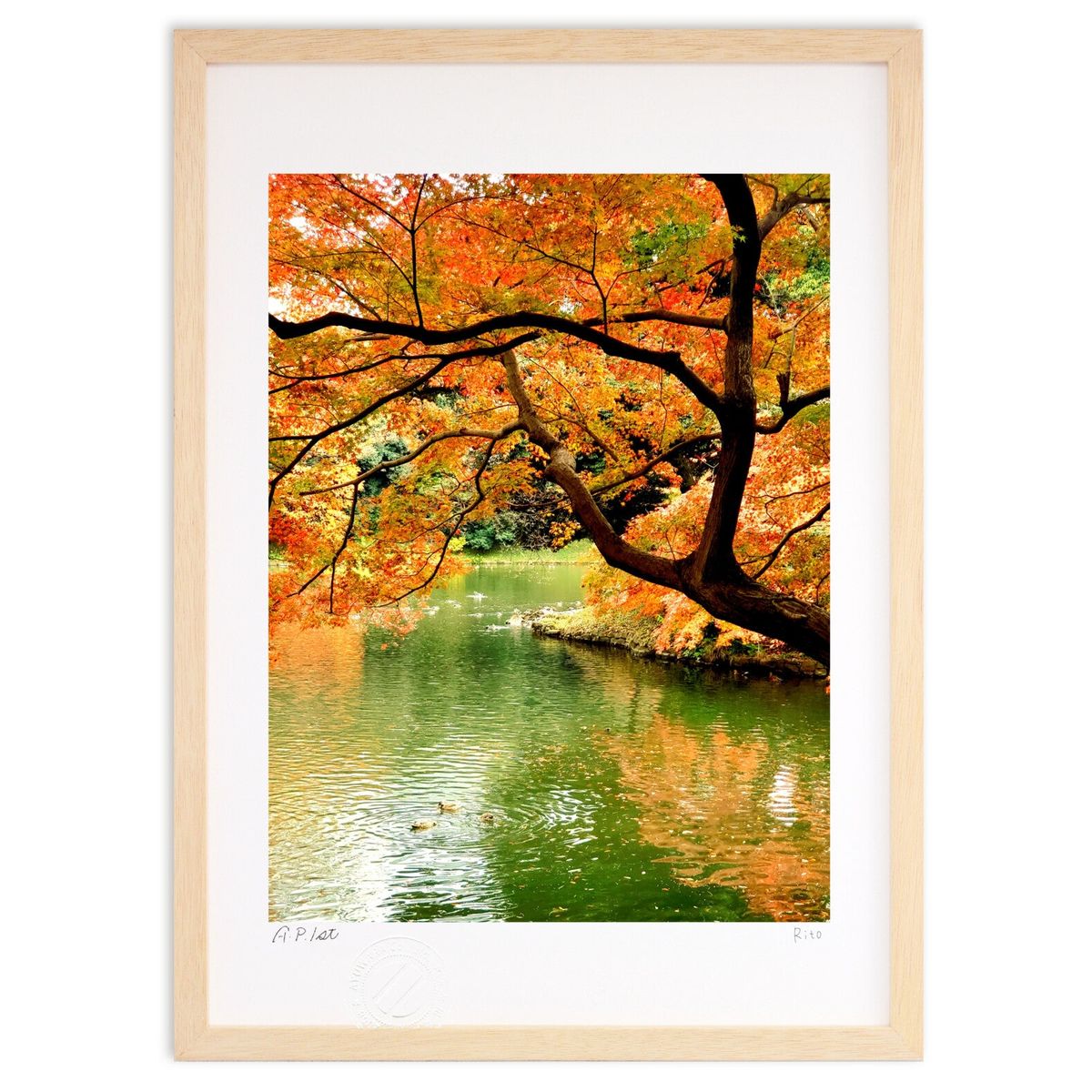 ǲ 🍁 (Rito)ƥꥢ ɳݤ  ʲ ݥ  ӥ ؤ˾  ץ쥼  ȥ...