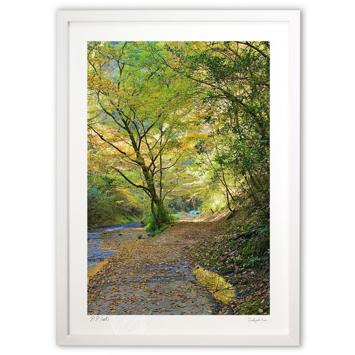 ǲ ͷƻ (mitan)ƥꥢ ɳݤ  ʲ ݥ  ӥ ؤ˾  ץ쥼  ȥե졼