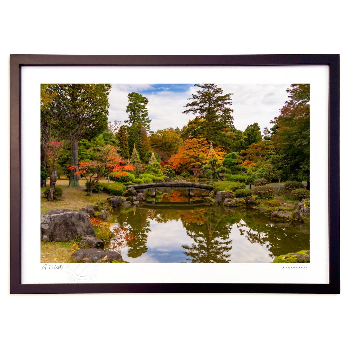 �ǲ� �����ν����� (bluewoods07)����ƥꥢ �ɳݤ� ������ ���ʲ� �ݥ����� ������ ��ӥ� ���ؤ˾��� ���� �ץ쥼��� ����� �����ȥե졼...