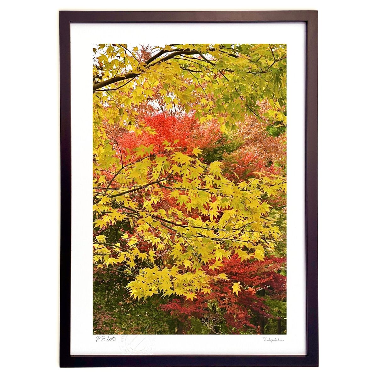 ǲ ͤν (mitan)ƥꥢ ɳݤ  ʲ ݥ  ӥ ؤ˾  ץ쥼  ȥե졼