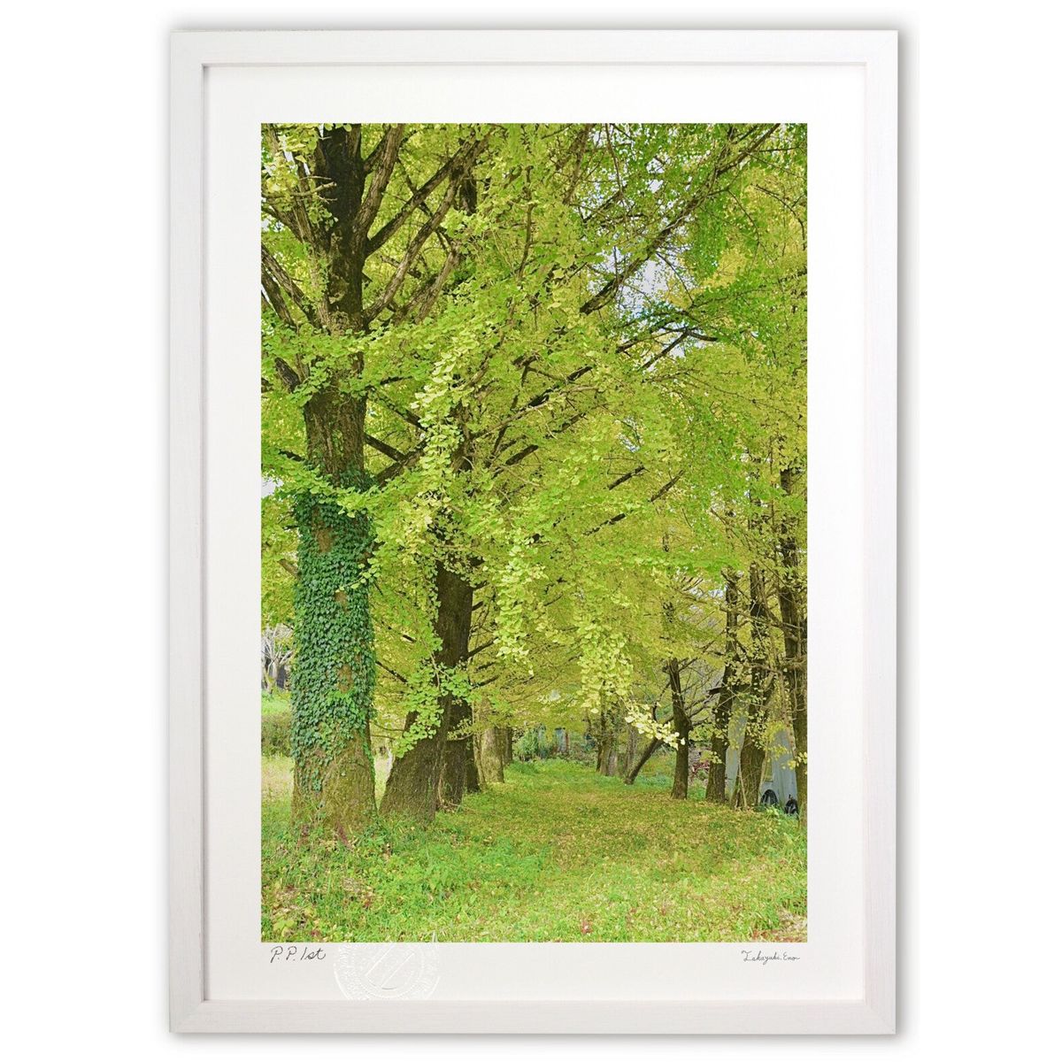 �ǲ� �ե��󥿥��� (mitan)����ƥꥢ �ɳݤ� ������ ���ʲ� �ݥ����� ������ ��ӥ� ���ؤ˾��� ���� �ץ쥼��� ����� �����ȥե졼��