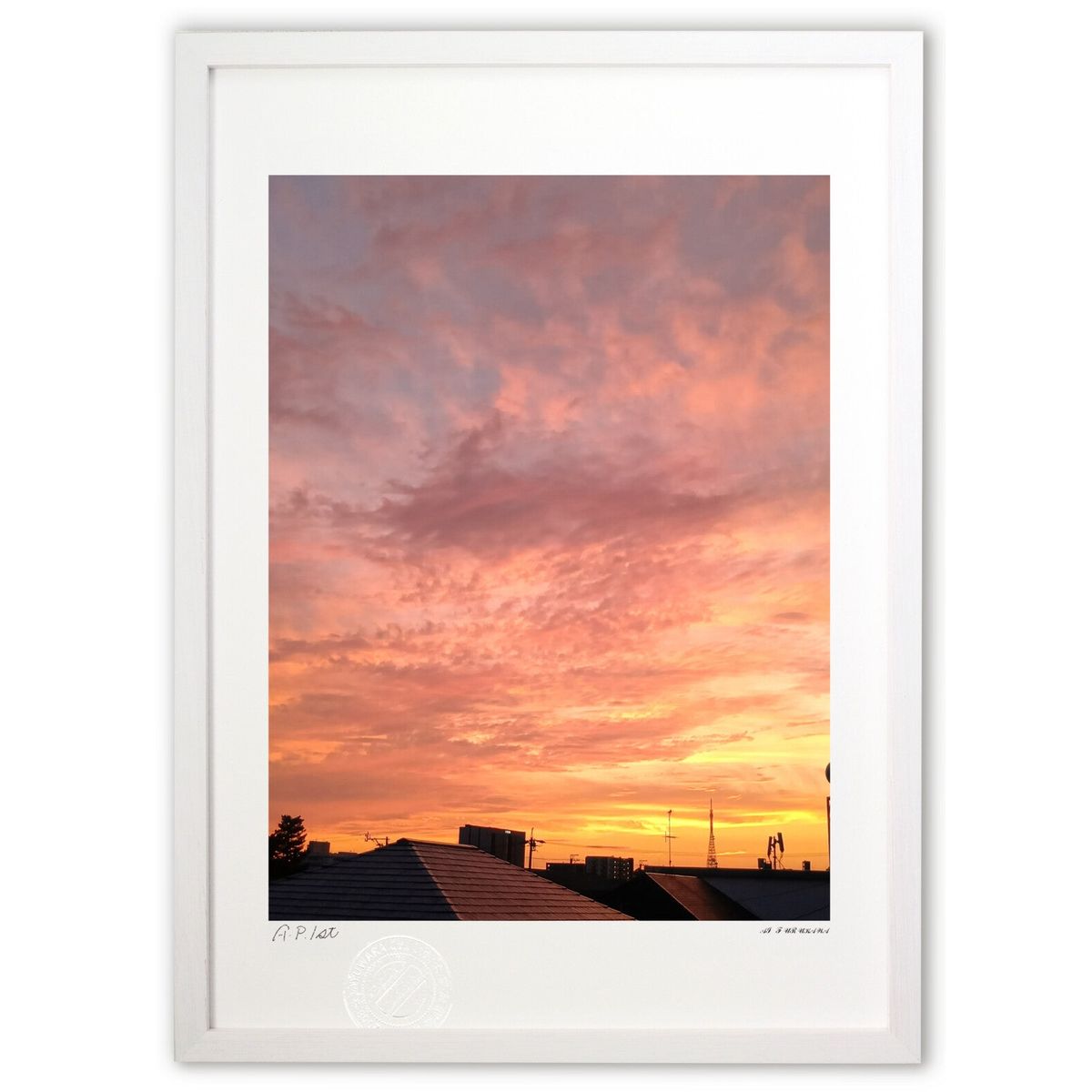 ǲ ͥPink Sunset  ( )