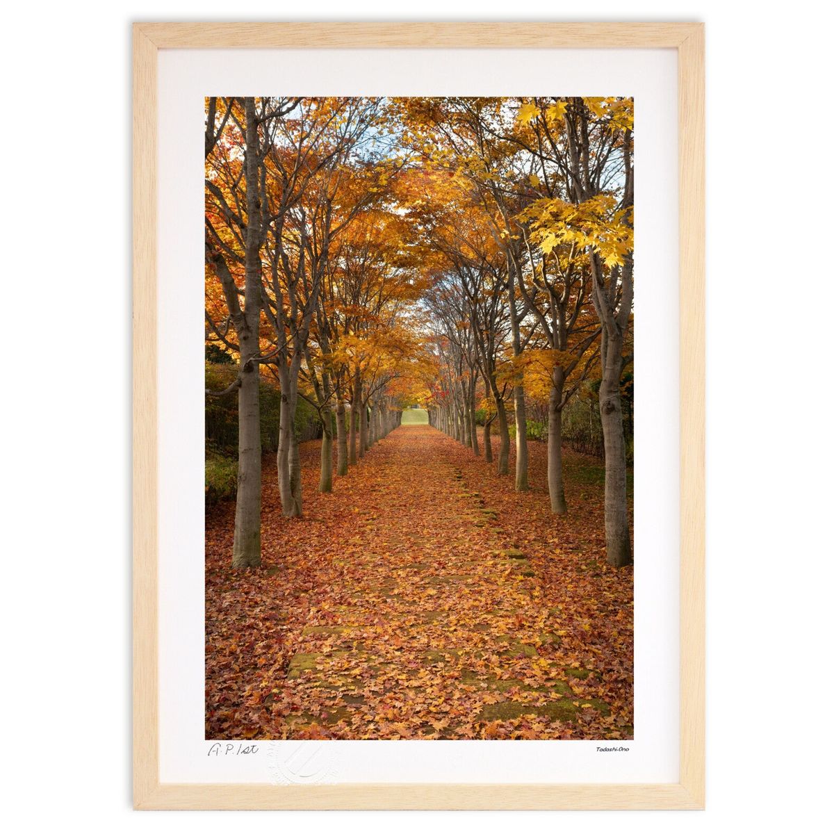 ǲ դΤ夦 ( )ƥꥢ ɳݤ  ʲ ݥ  ӥ ؤ˾  ץ쥼  ȥե졼