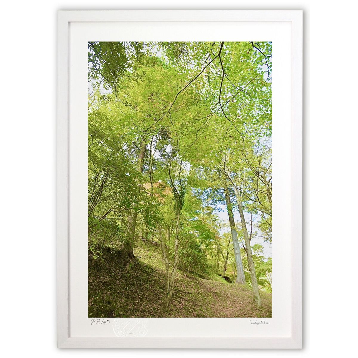 ǲ ֤䤫ʿ (mitan)ƥꥢ ɳݤ  ʲ ݥ  ӥ ؤ˾  ץ쥼  ȥե졼