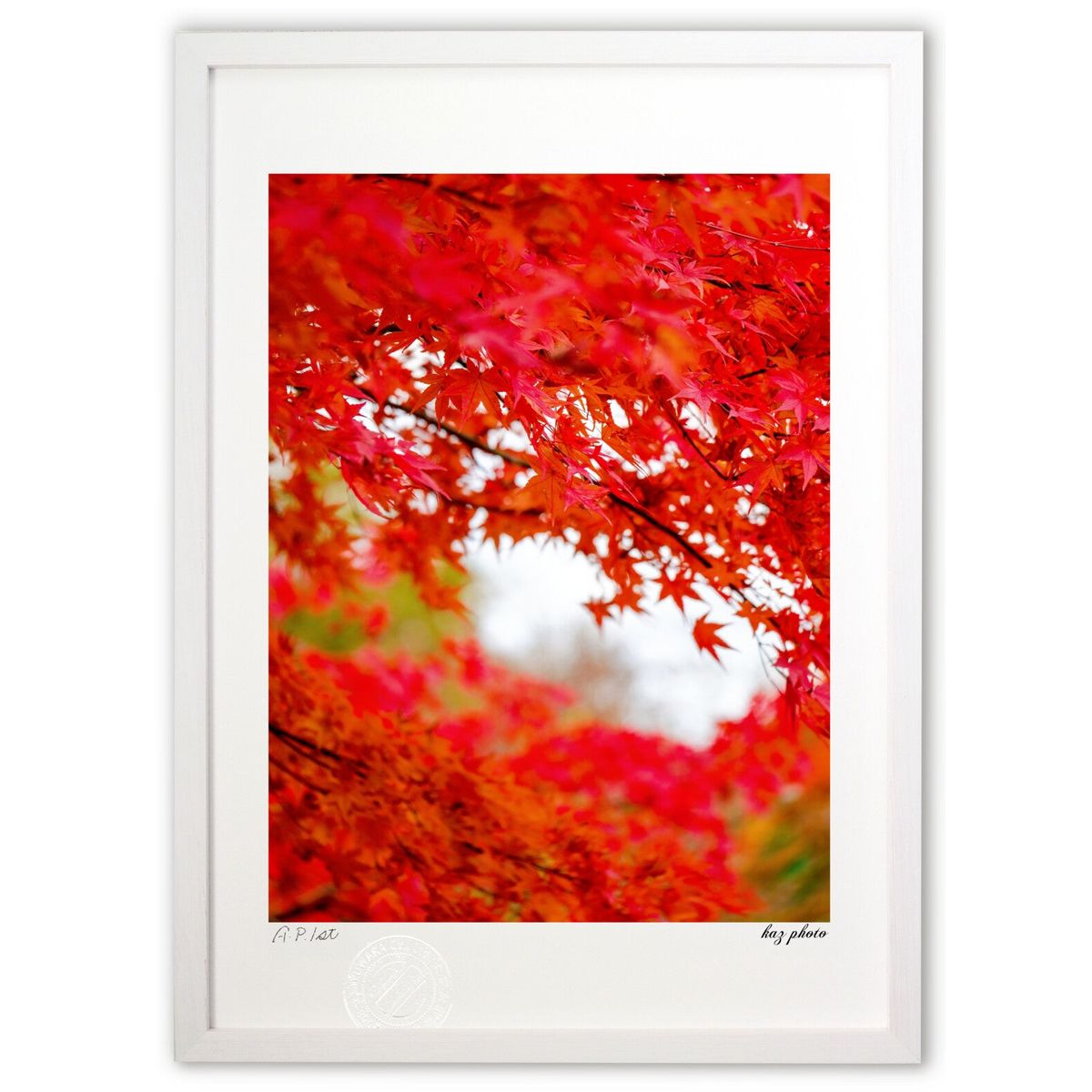 版画 紅葉 (kaz photo)インテリア 壁掛け 額入り 風景画 ポスター アート リビング 玄関に飾る 風水 プレゼント モダン アートフレーム