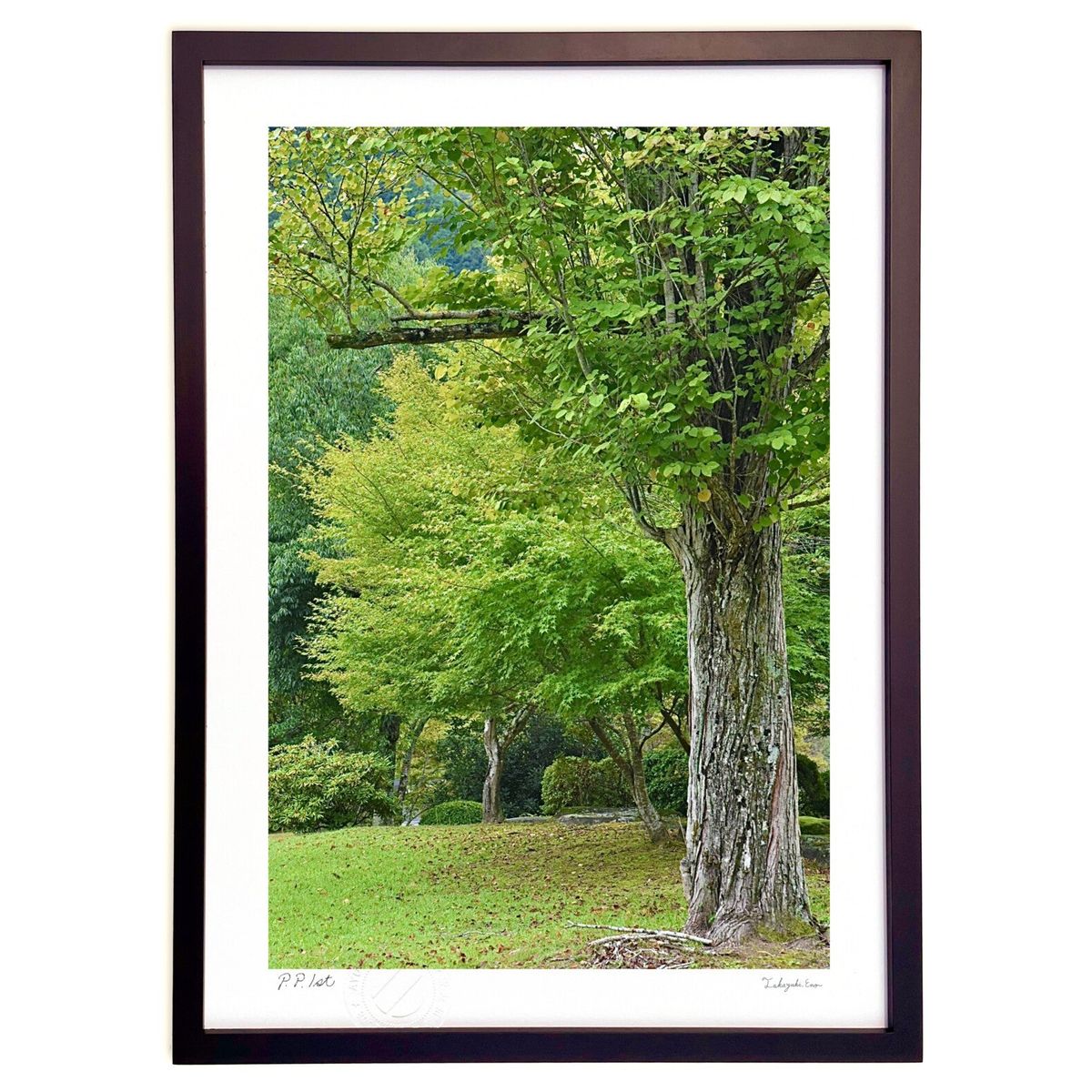 版画 染まる前に2 (mitan)インテリア 壁掛け 額入り 風景画 ポスター アート リビング 玄関に飾る 風水 プレゼント モダン アートフレーム