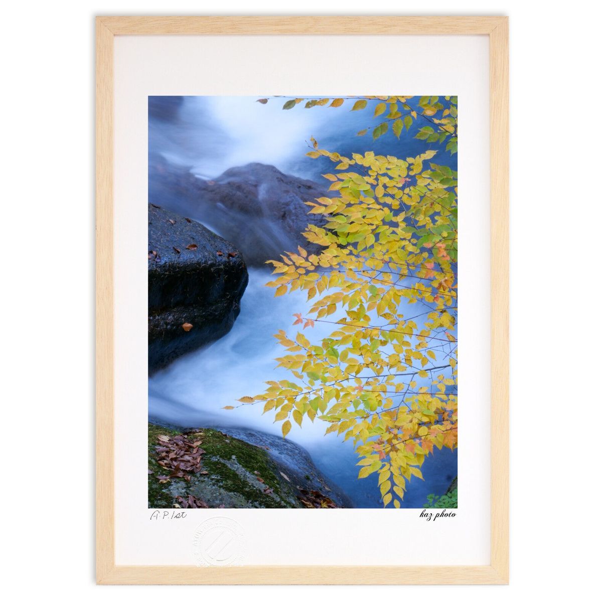 ǲ ȹ (kaz photo)ƥꥢ ɳݤ  ʲ ݥ  ӥ ؤ˾  ץ쥼  ȥե졼