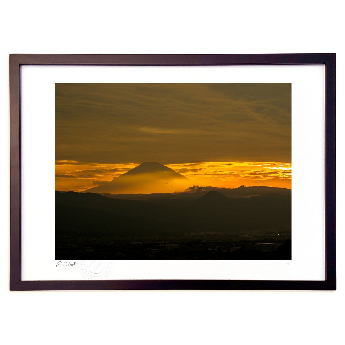 ǲ ٻλͼƤ (hi69ing)ƥꥢ ɳݤ  ʲ ݥ  ӥ ؤ˾  ץ쥼  ȥե졼