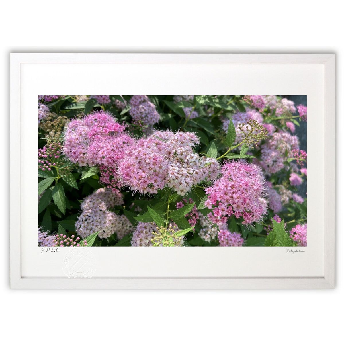 【スーパーSALE半額】版画 シモツケの花 (mitan)インテリア 壁掛け 額入り 風景画 ポスター アート リ..