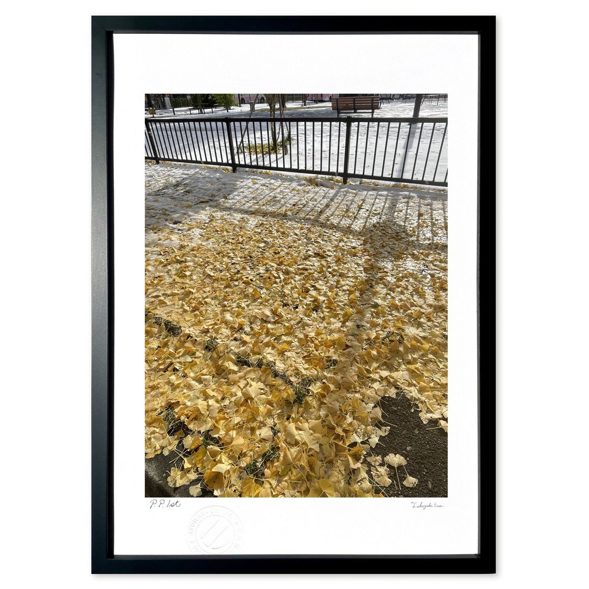 ǲ Ĥ (hiro)ƥꥢ ɳݤ  ʲ ݥ  ӥ ؤ˾  ץ쥼  ȥե졼