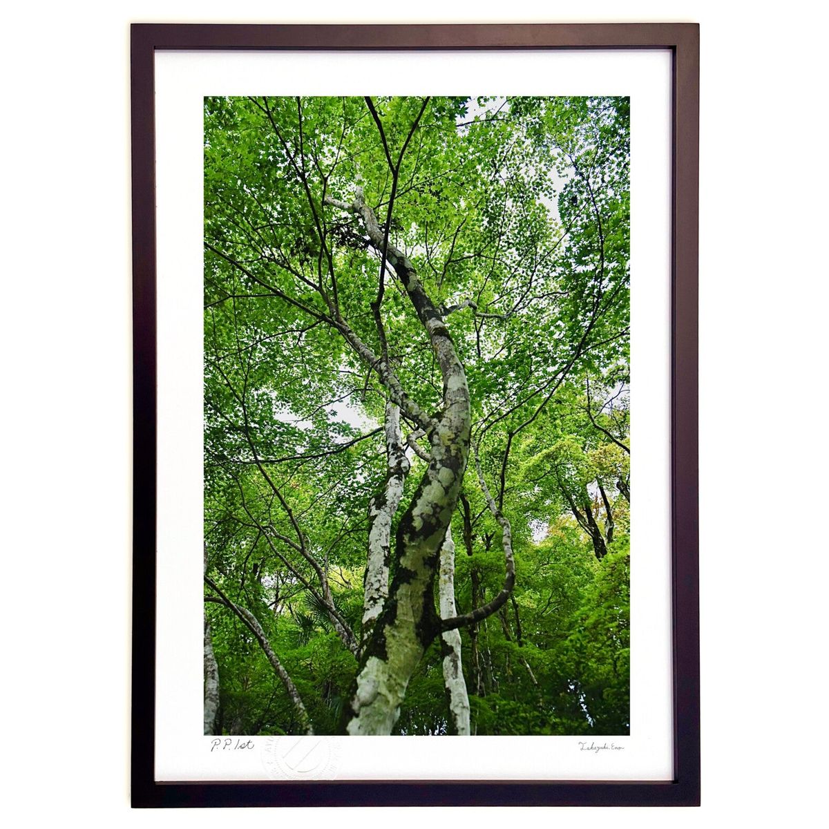 ǲ ޤ (mitan)ƥꥢ ɳݤ  ʲ ݥ  ӥ ؤ˾  ץ쥼  ȥե졼