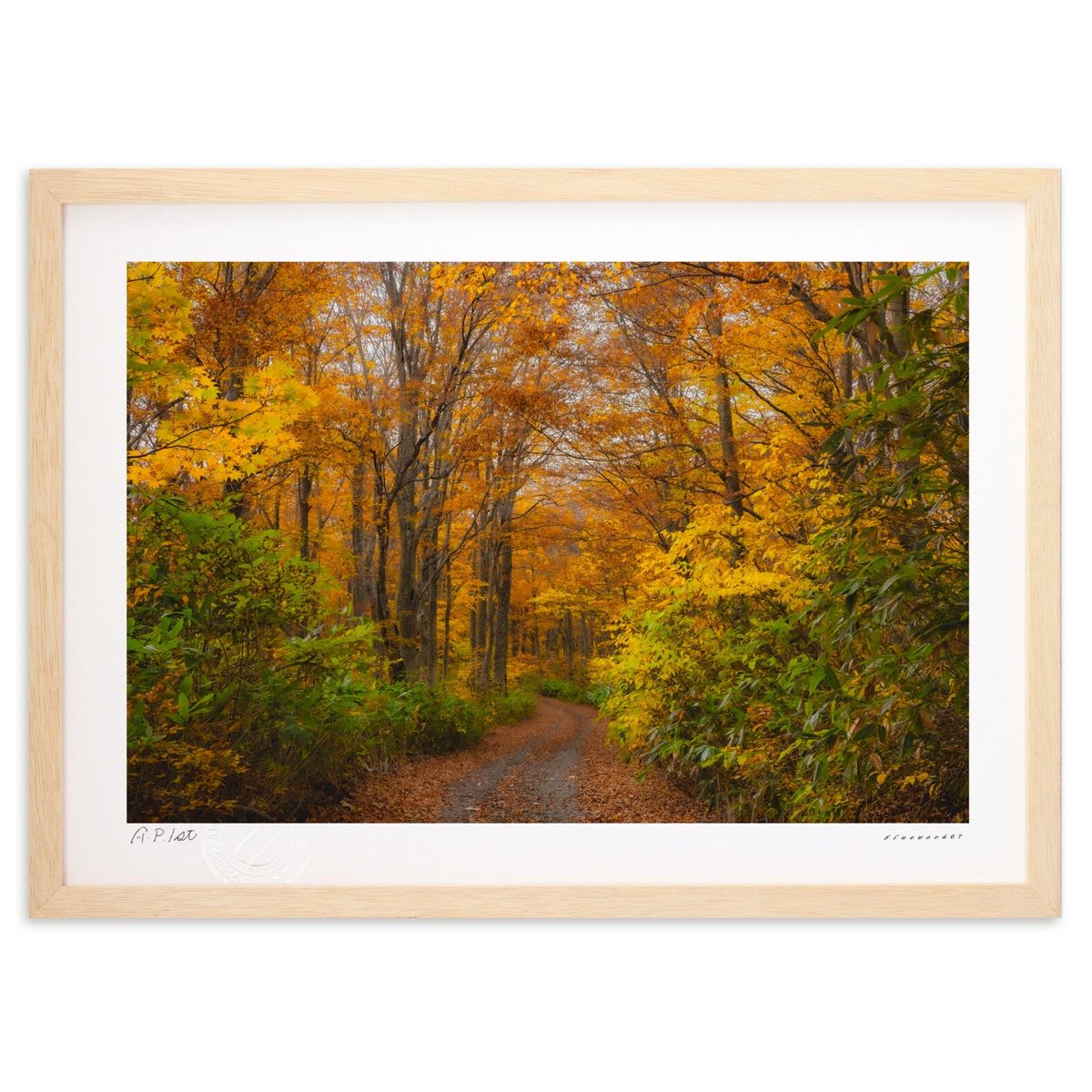 ǲ դλϩ (bluewoods07)ƥꥢ ɳݤ  ʲ ݥ  ӥ ؤ˾  ץ쥼  ȥե졼...