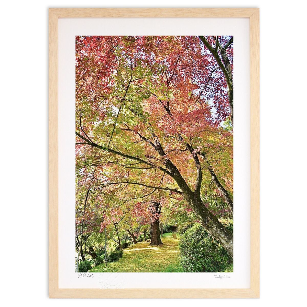 ǲ դκƻ (mitan)ƥꥢ ɳݤ  ʲ ݥ  ӥ ؤ˾  ץ쥼  ȥե졼