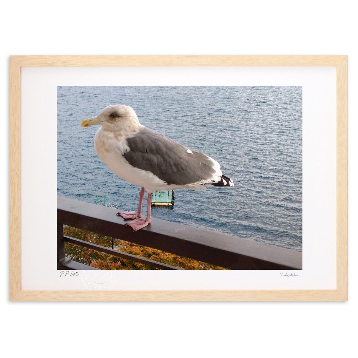 ǲ  (ΡХ˥)ƥꥢ ɳݤ  ʲ ݥ  ӥ ؤ˾  ץ쥼  ȥե졼