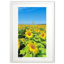 【スーパーSALE半額】版画 青空とひまわり (mitan)インテリア 壁掛け 額入り 風景画 ポスター アート リビング 玄関に飾る 風水 プレゼント モダン...