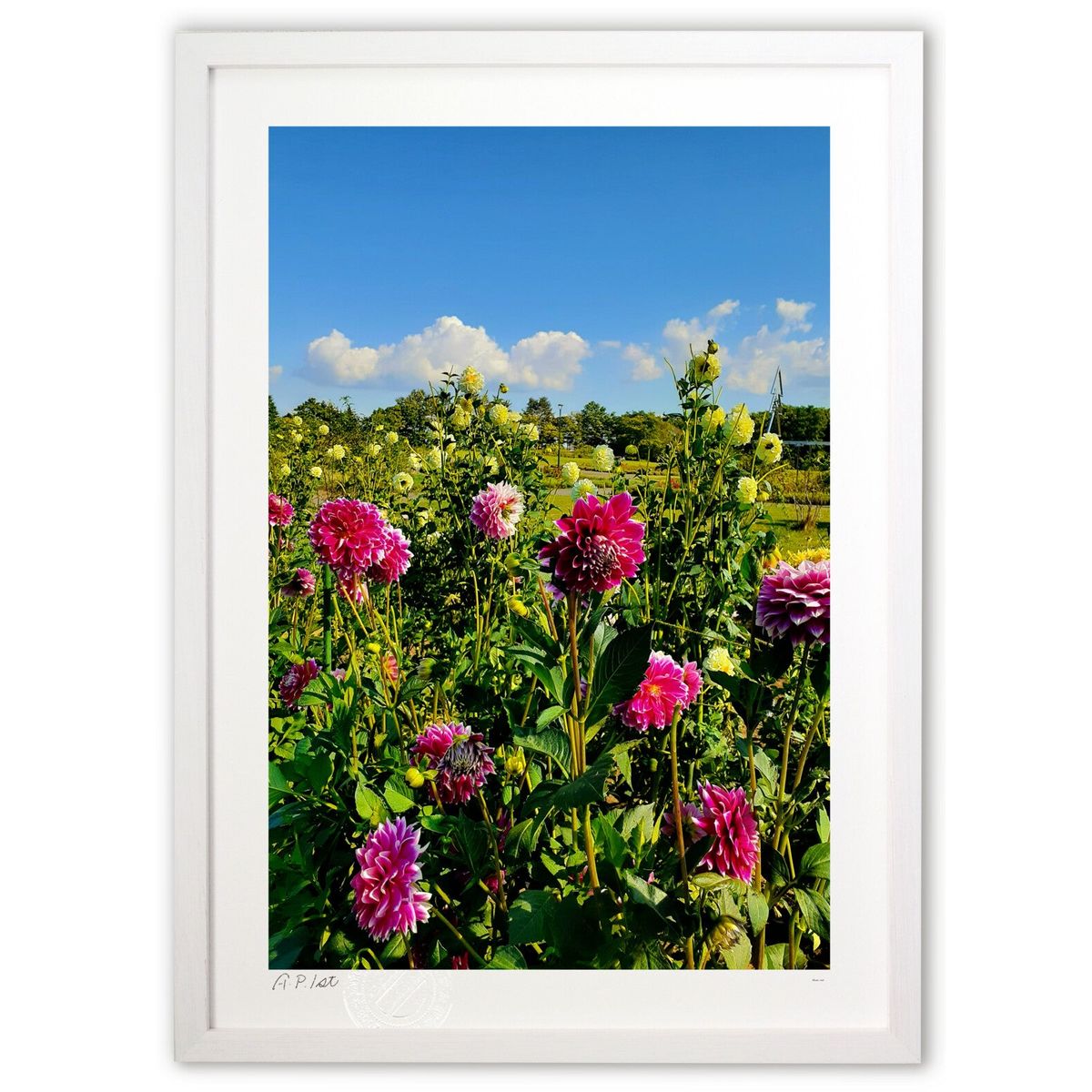 【スーパーSALE半額】版画 ダリア (Gille1119)インテリア 壁掛け 額入り 風景画 ポスター アート リビング 玄関に飾る 風水 プレゼント モダン...